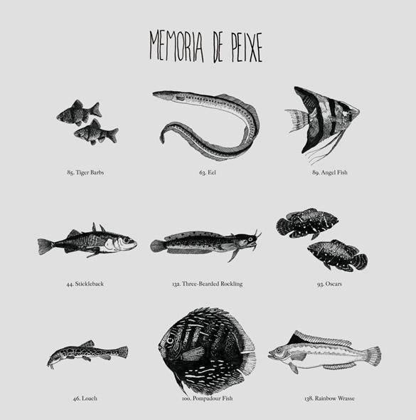 Memória de Peixe – “Memória de Peixe”