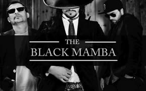The Black Mamba – Hard Club – Porto – 16/Mar/13