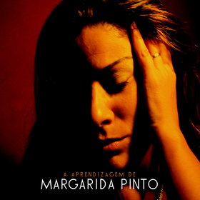 capa de A Aprendizagem de Margarida Pinto