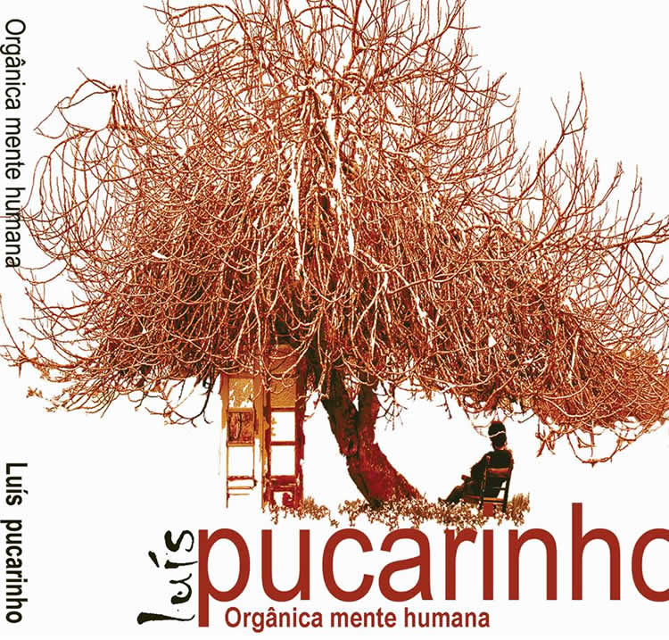 Luís Pucarinho com novo disco a 25 de Setembro