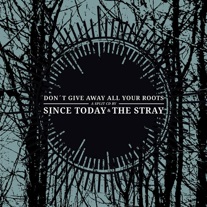 No Play: “Don’t Give Away All Your Roots” – Since Today & The Stray